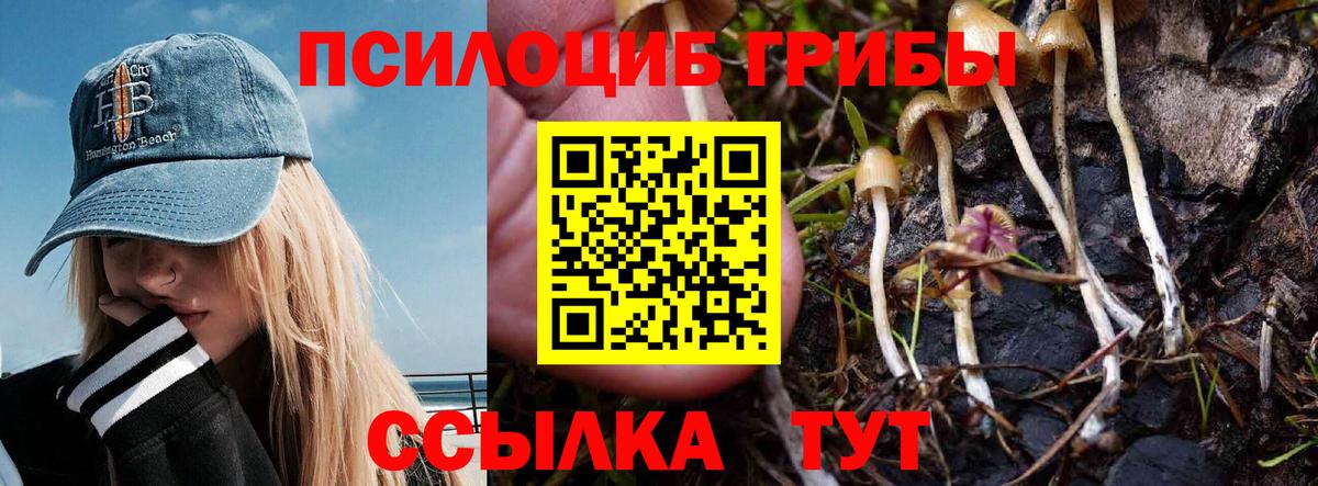 Галлюциногенные грибы прущие грибы  Вход с VPN  купить наркоту  Ртищево  Псилоцибиновые грибы ЛСД 